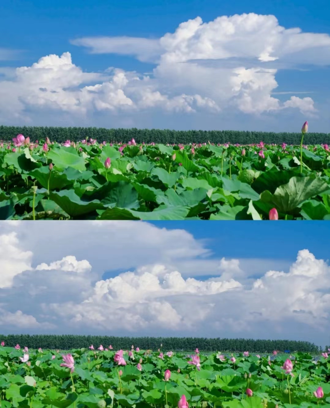 659c0562b59028266dd4e4de486ef26