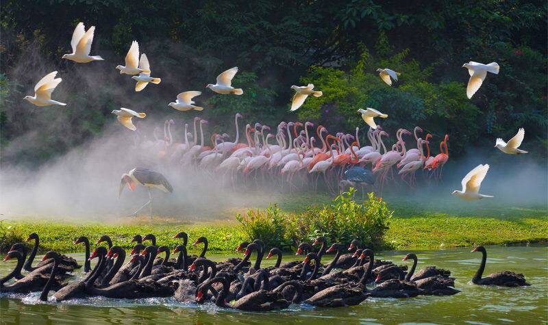 C0DABC138535EF438208D07E35FDCA58 C0DABC138535EF438208D07E35FDCA58