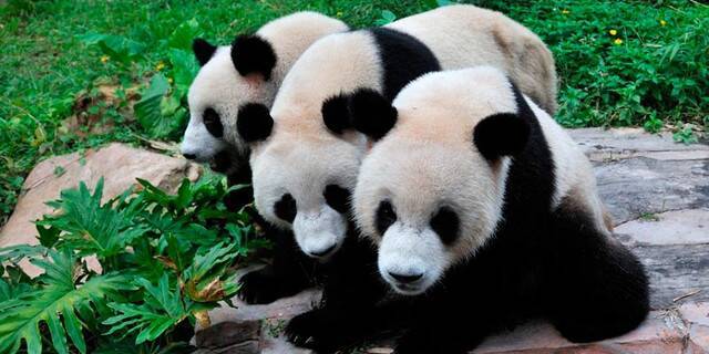 20D261691432425C9B9C04FA40A5C109 20D261691432425C9B9C04FA40A5C109