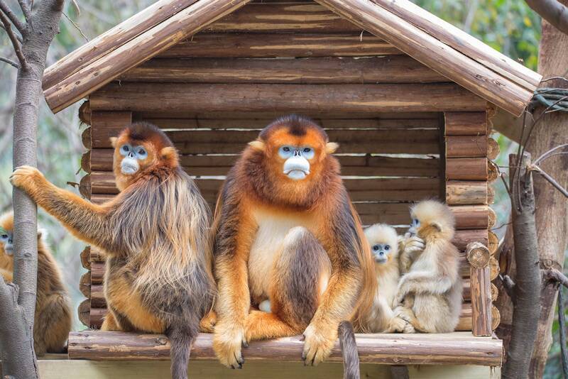 E68A2CA1E3E636F4C9FF6682F17079FB E68A2CA1E3E636F4C9FF6682F17079FB