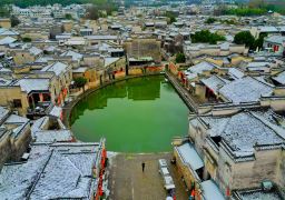 0103o12000a964t0689ED_D_256_180 0103o12000a964t0689ED_D_256_180