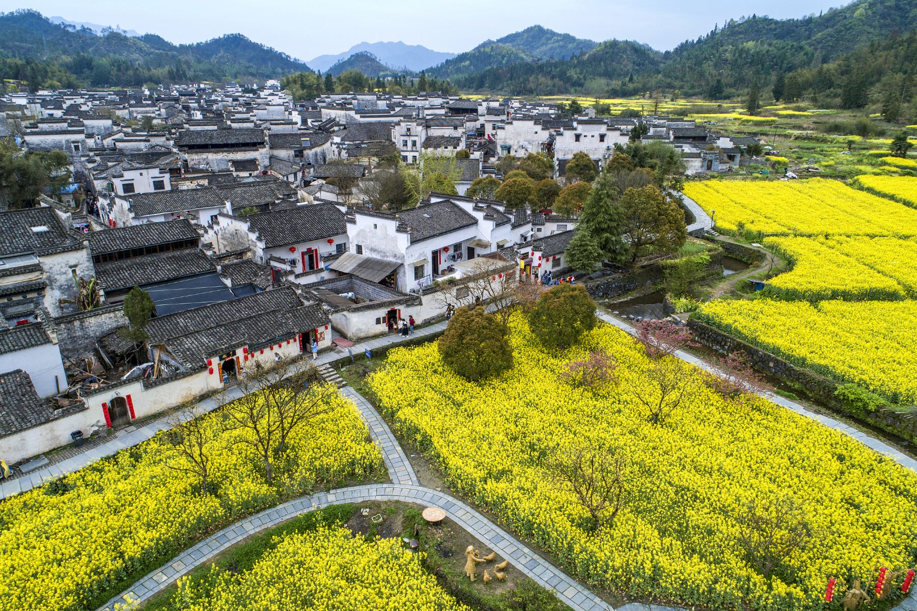 0100k120005vp887lB72D_D_10000_1200 0100k120005vp887lB72D_D_10000_1200