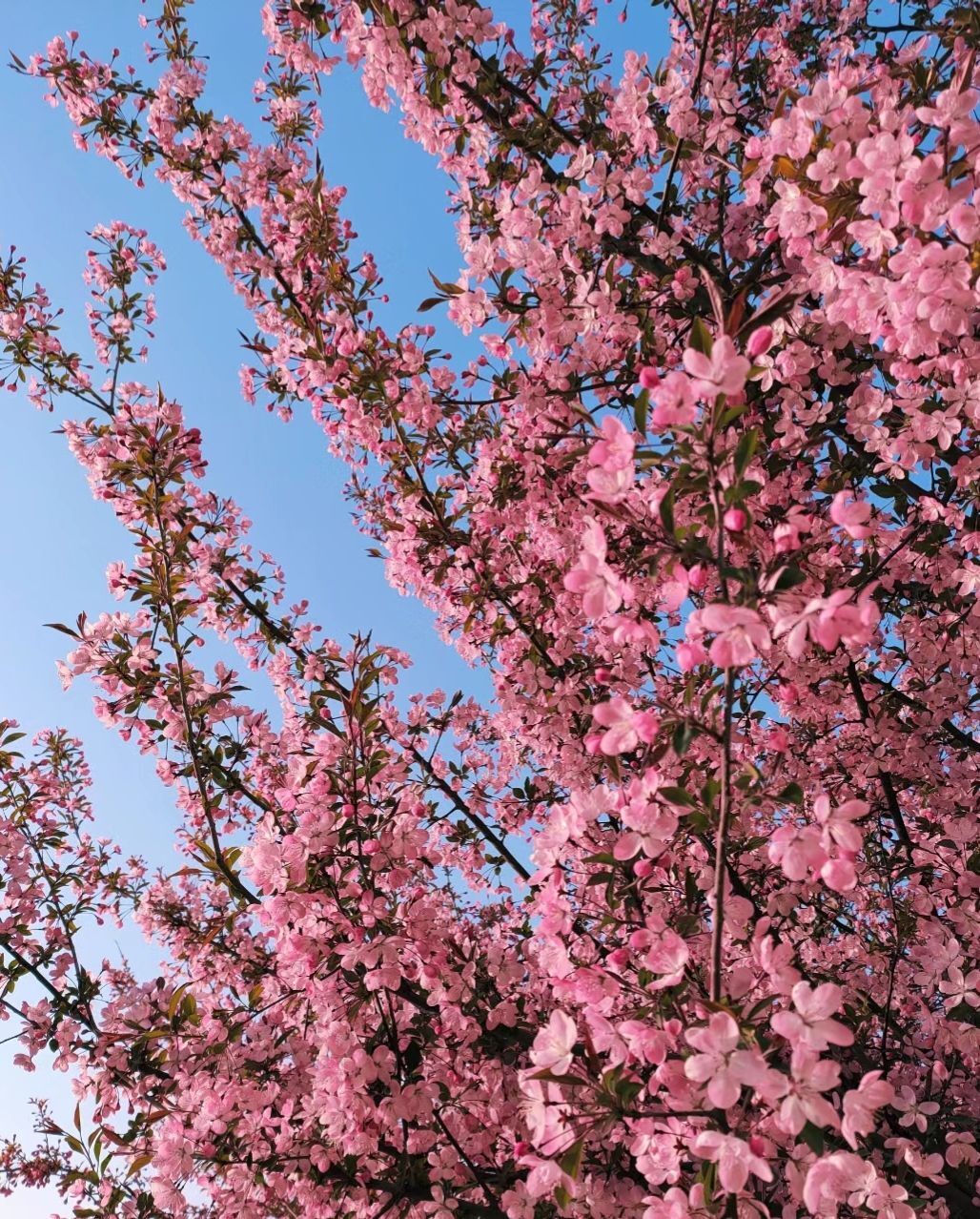 QQ图片20230607095216