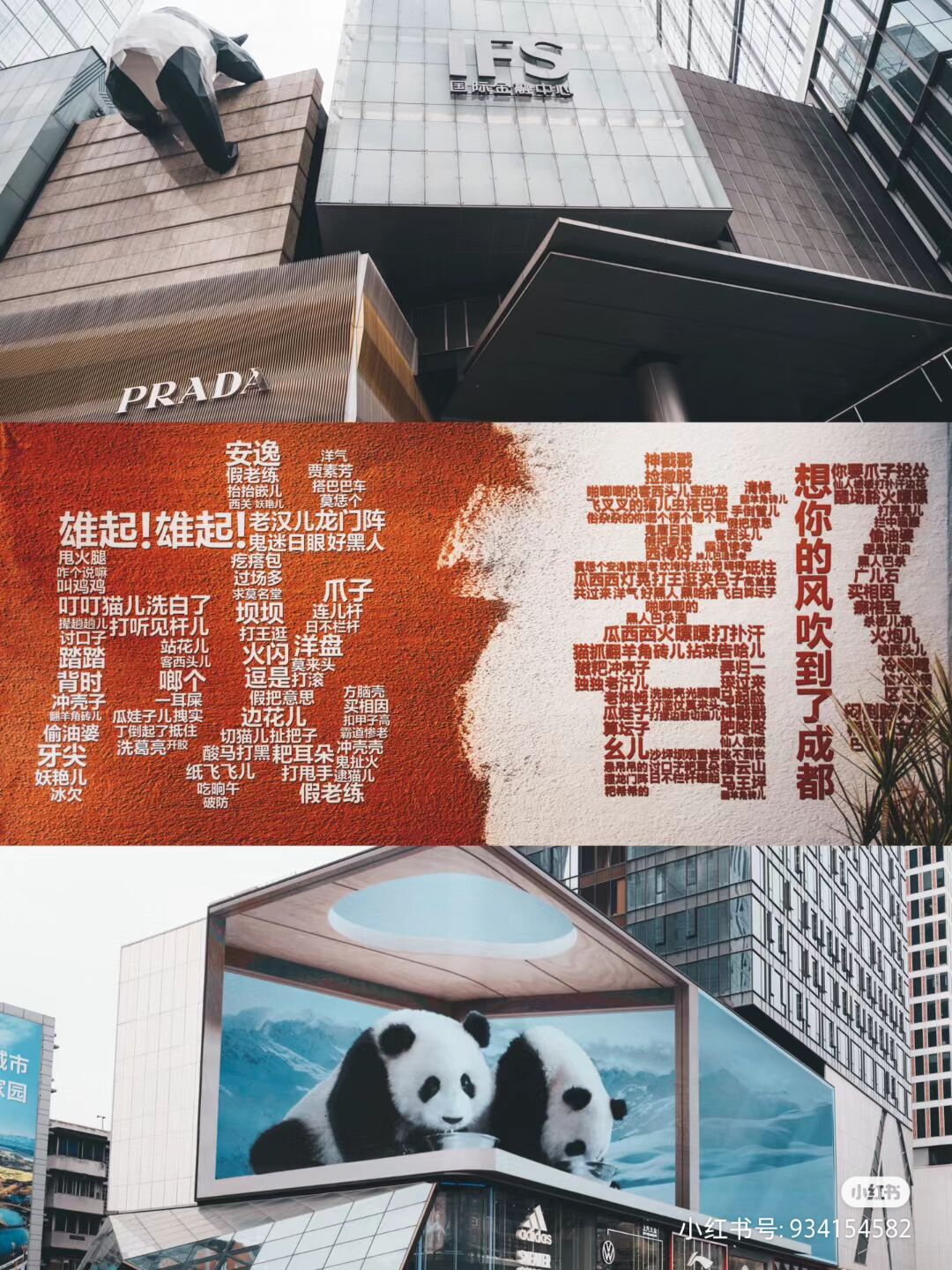 青春岁月成都大熊猫、黄龙溪古镇、网红打卡六日游