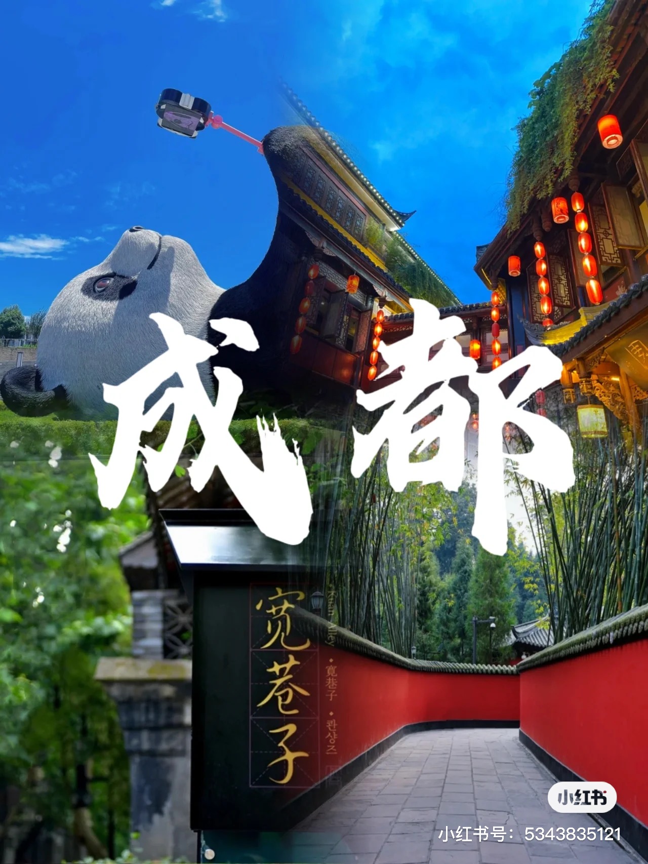 IMG_3714(20230607-090937)