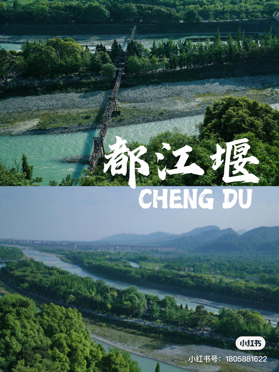 IMG_7060(20230608-151452)