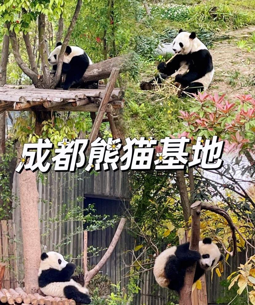 QQ图片20230607103858 QQ图片20230607103858