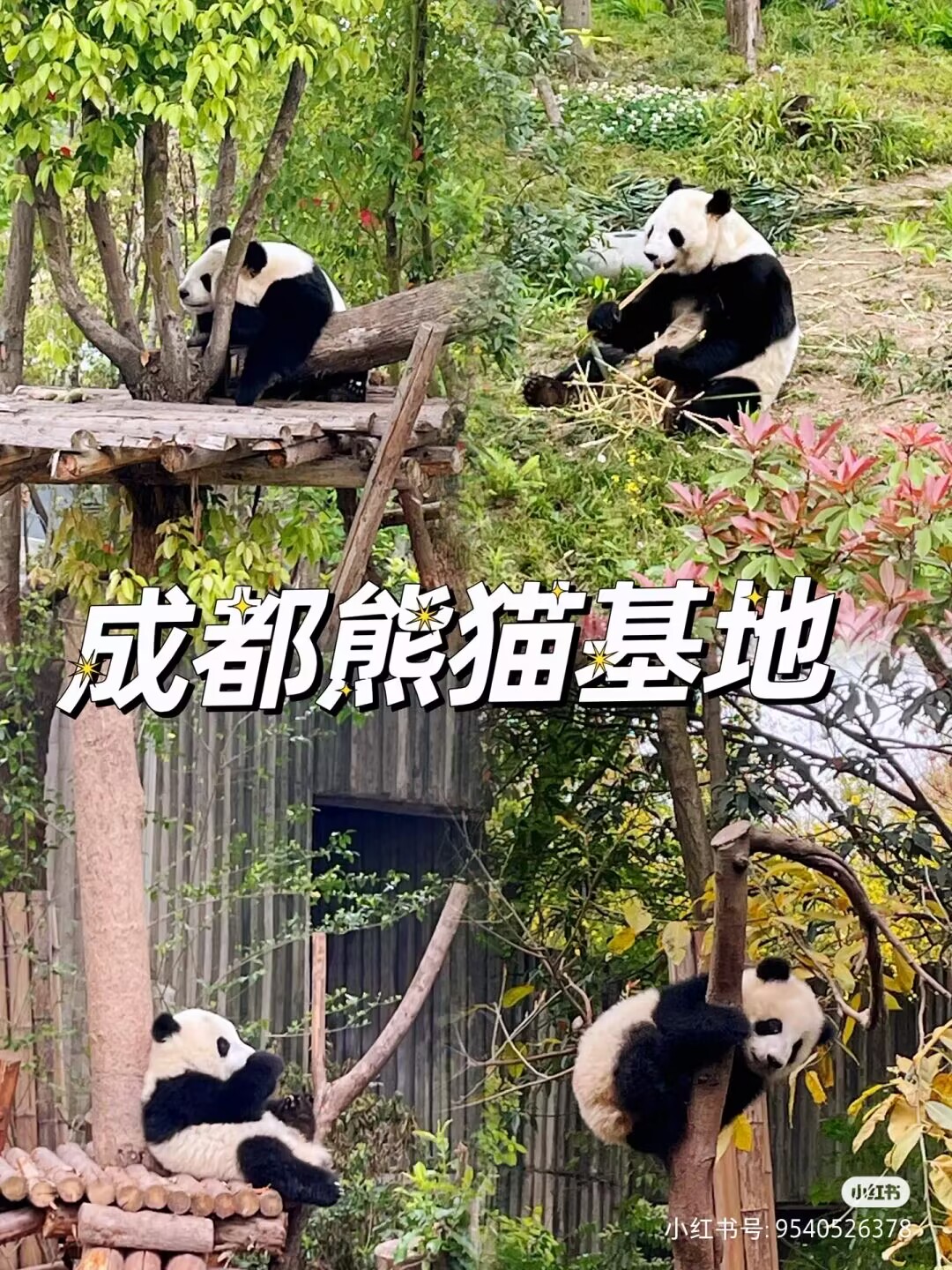 18B047023837649D193E159F930D58B6