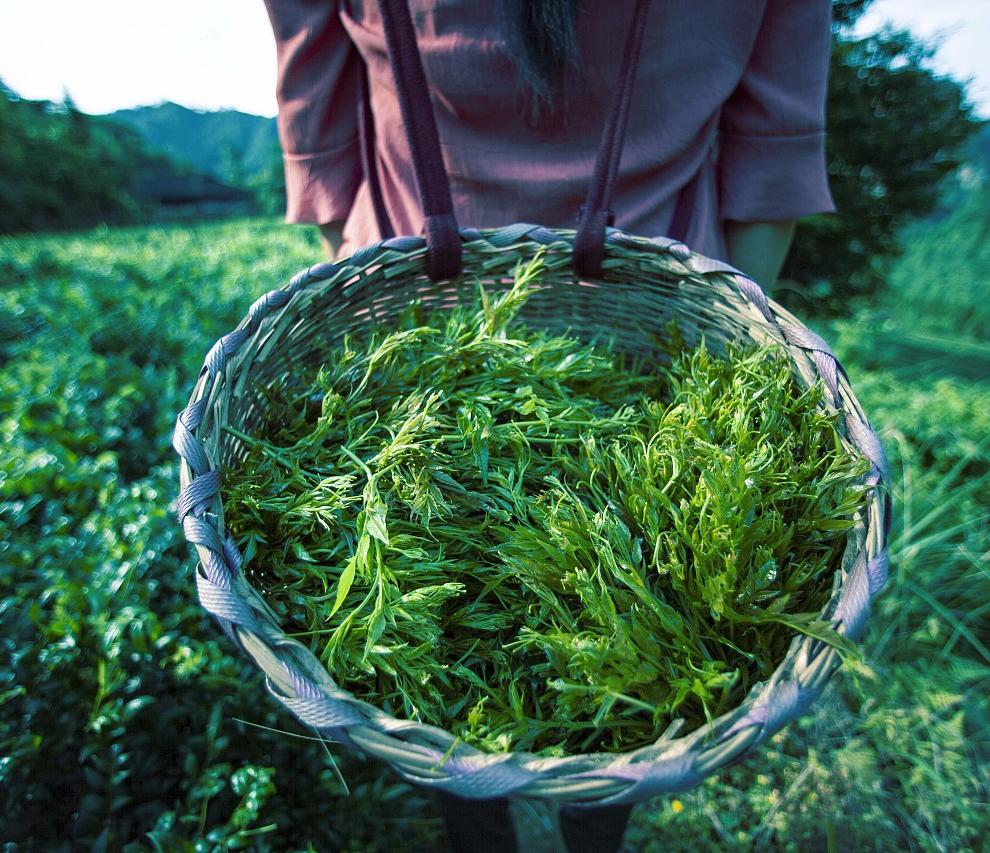 01040e5da024eaa80121b7226f5fc4 01040e5da024eaa80121b7226f5fc4