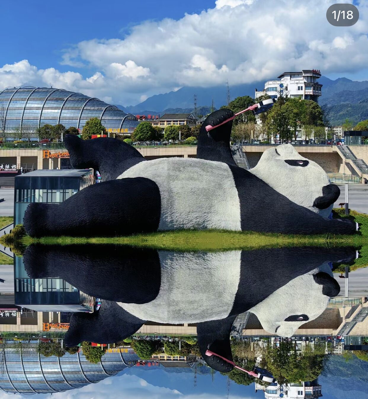 QQ图片20230614094154