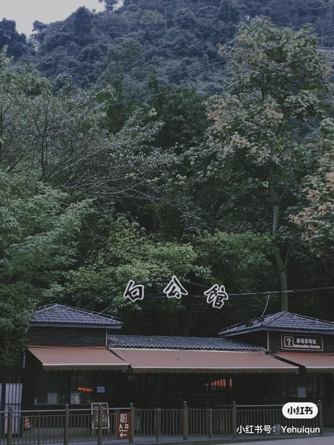 QQ图片20230621155823