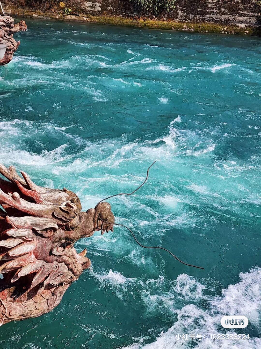 QQ图片20230621154417