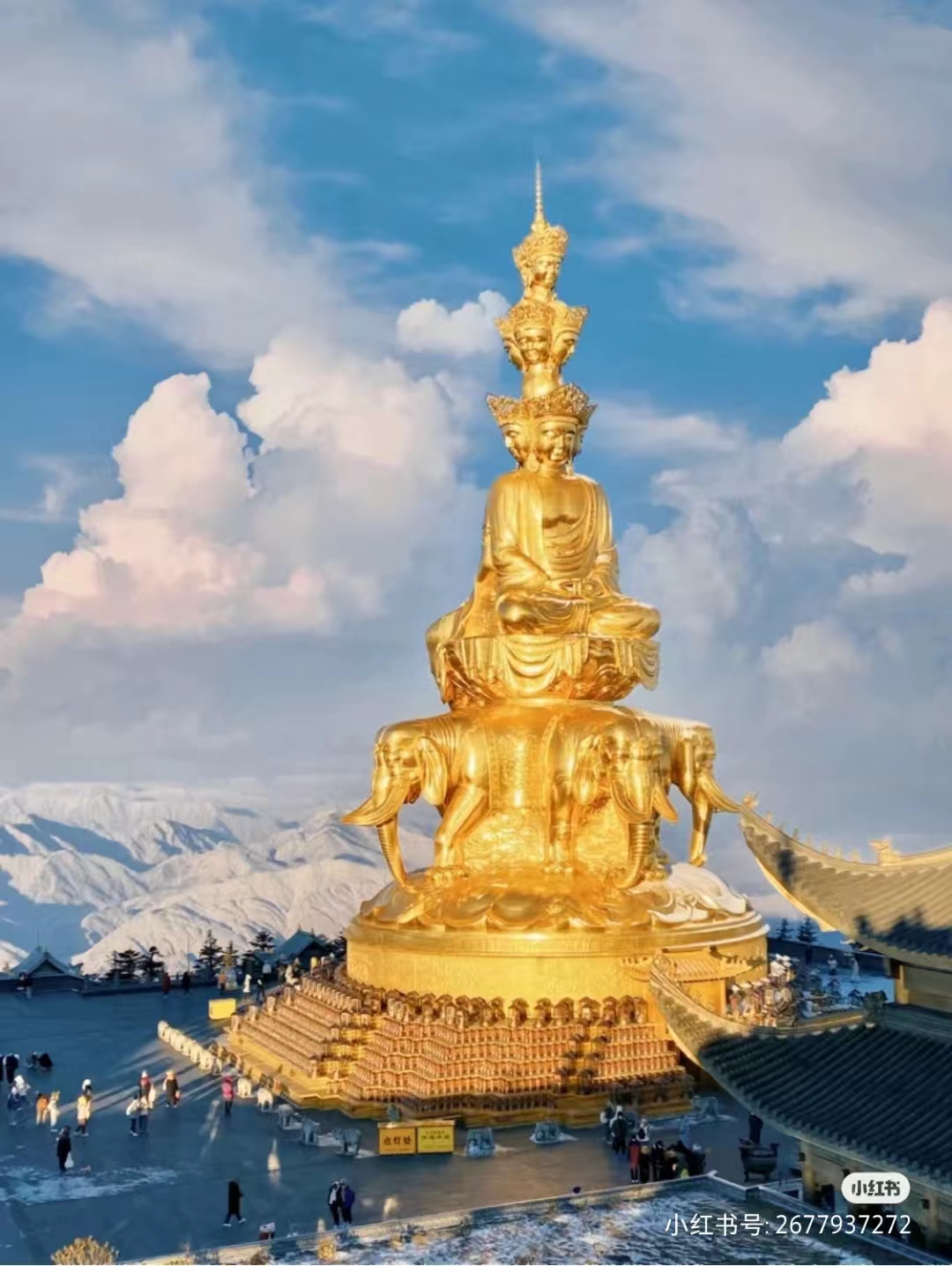 微信图片_202306241358376