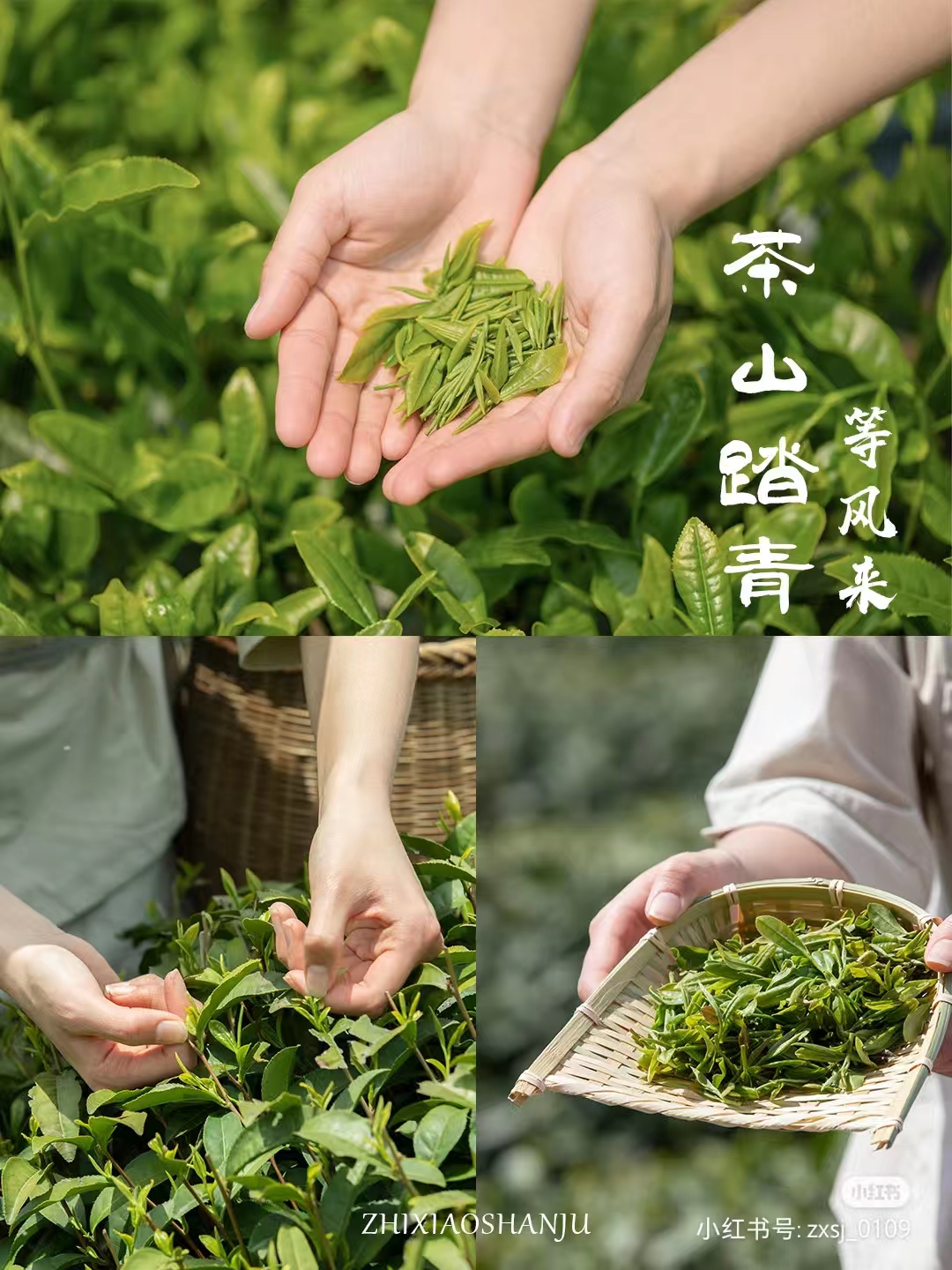 微信图片_202306241358371