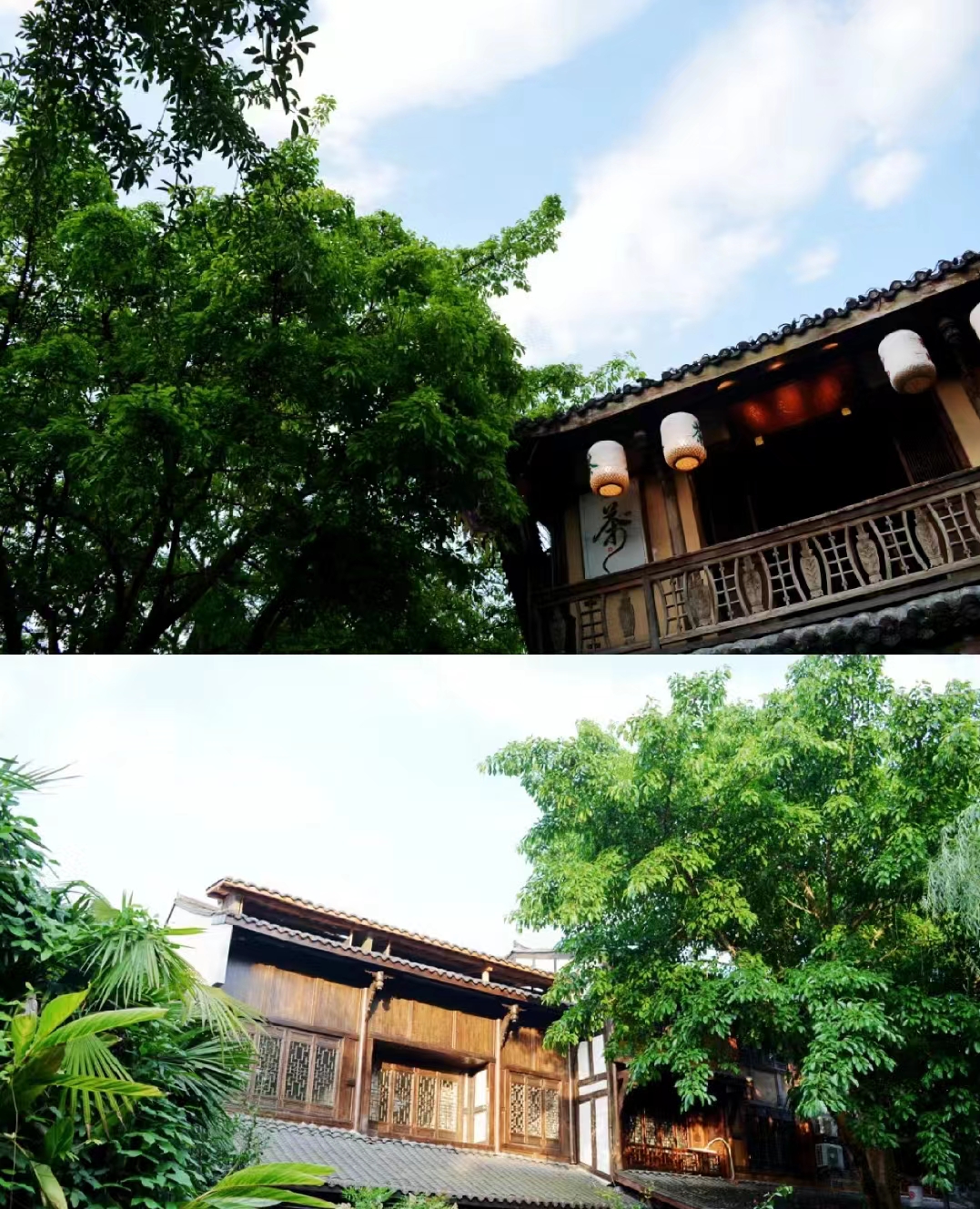 a5da1990c08860cec5ea24654056afa