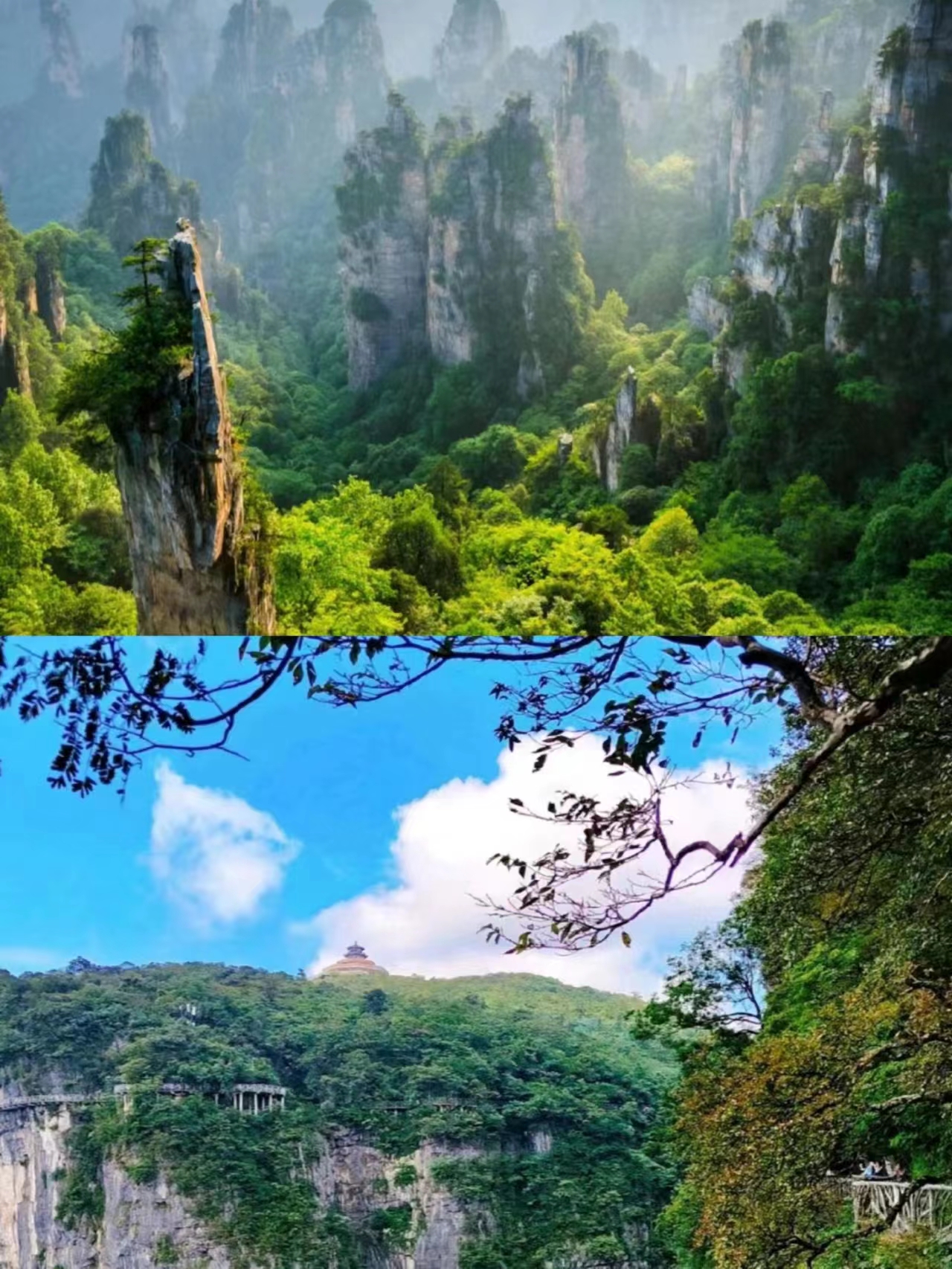 5bc5aa037bcdaad835497fe5b6c6e6f