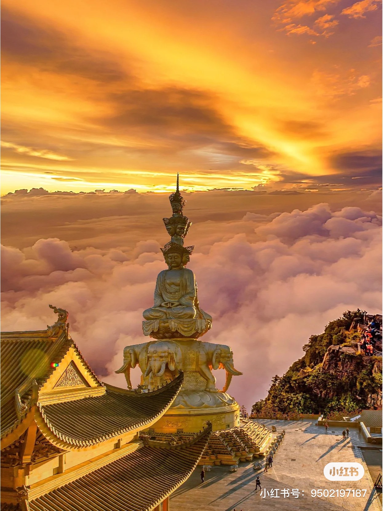 微信图片_20230713151138