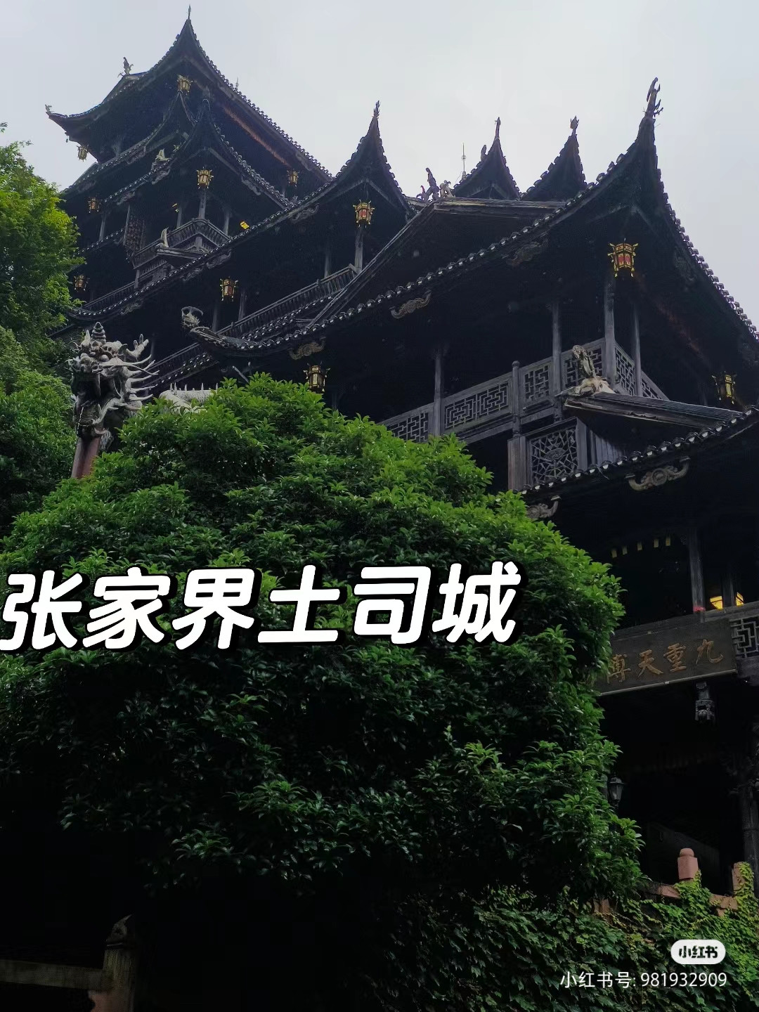 QQ图片20230713151905