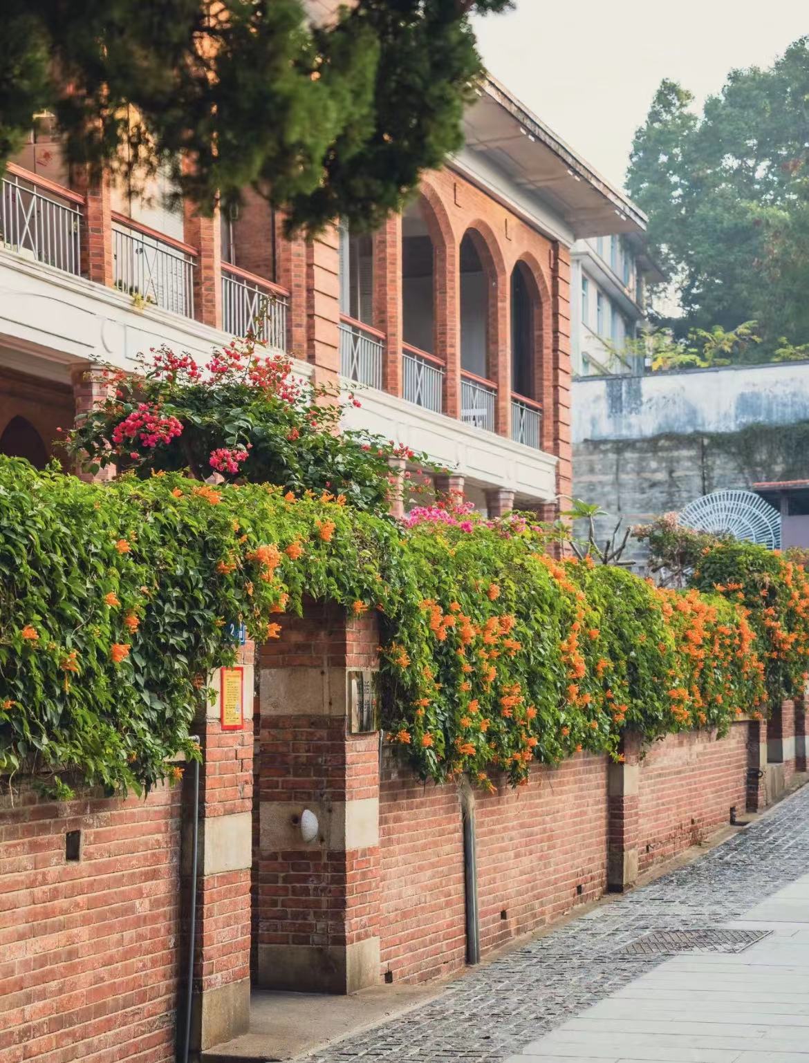 _cgi-bin_mmwebwx-bin_webwxgetmsgimg__&MsgID=5228305913883048