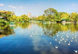 100a1f000001grncg2491_D_256_180 100a1f000001grncg2491_D_256_180