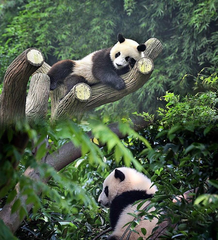 微信图片_20240701153638 微信图片_20240701153638