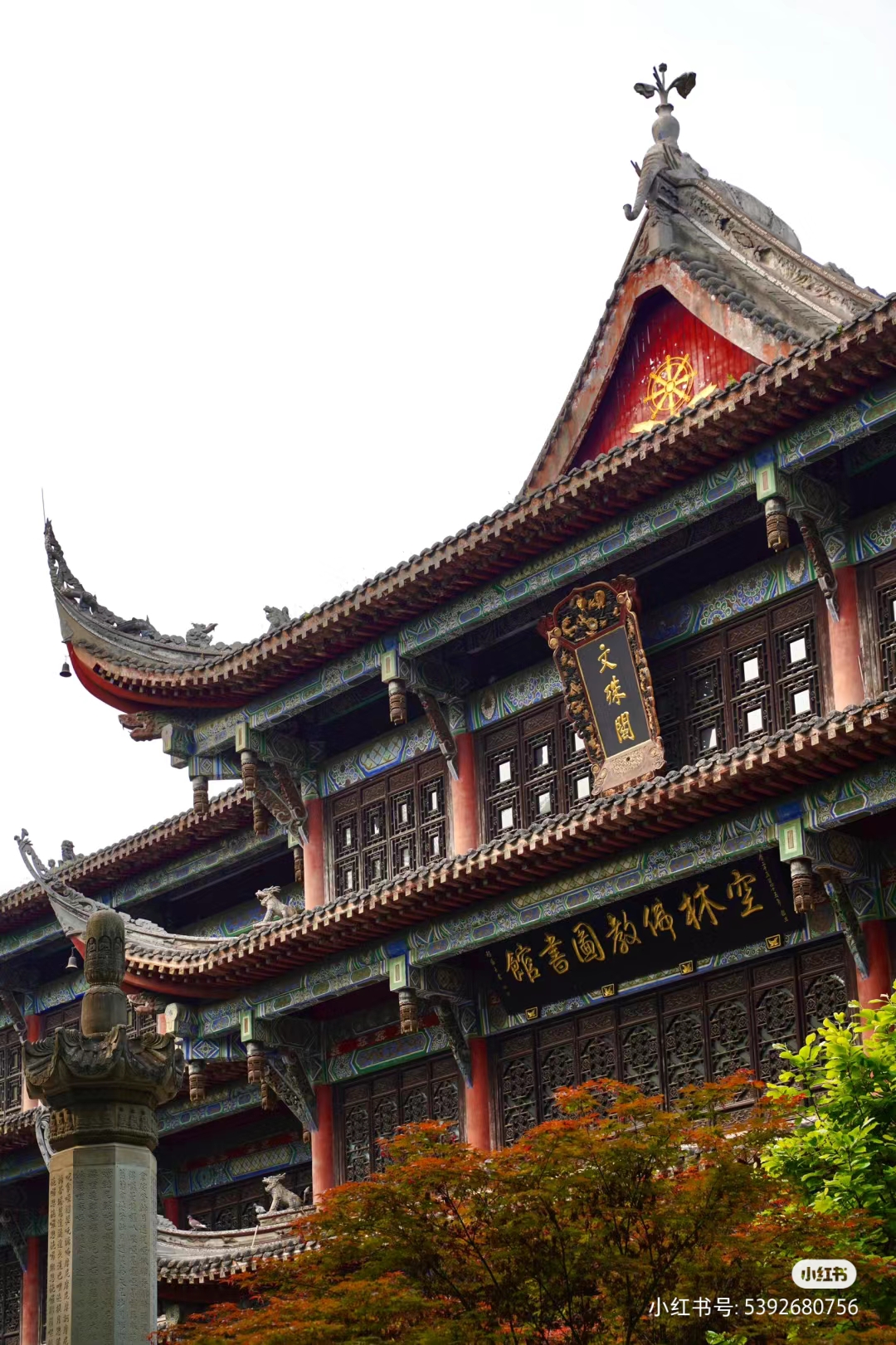 Camera_XHS_17198214702561040g008311lcaq33n2005ot9iqfpgvgrbdv