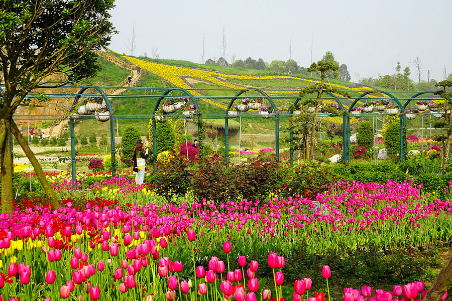 140981535_1554686812318_mthumb