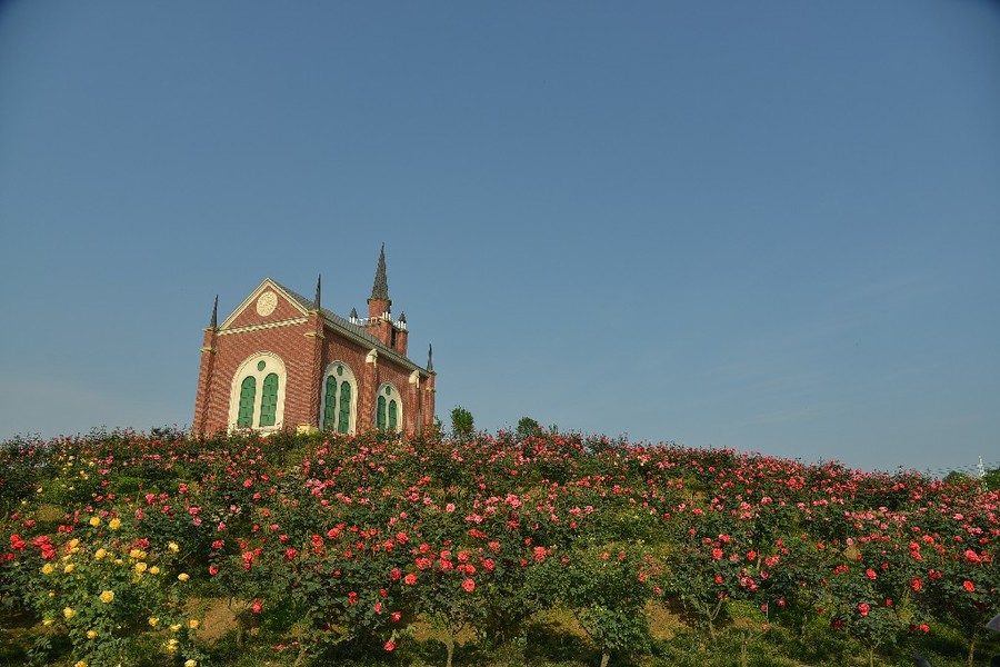 205159118_1587957975896_mthumb