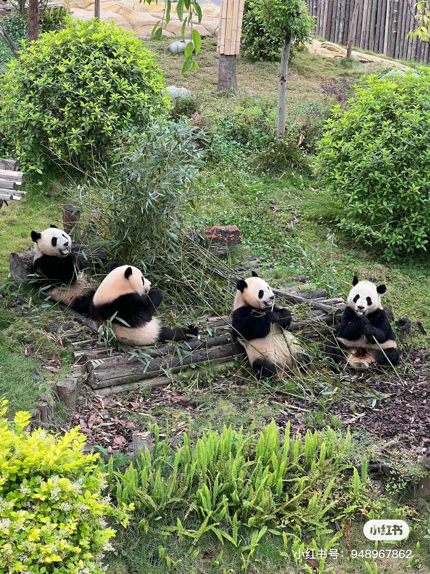 1EA0E73AB2E090553D5D8CAE23606D97