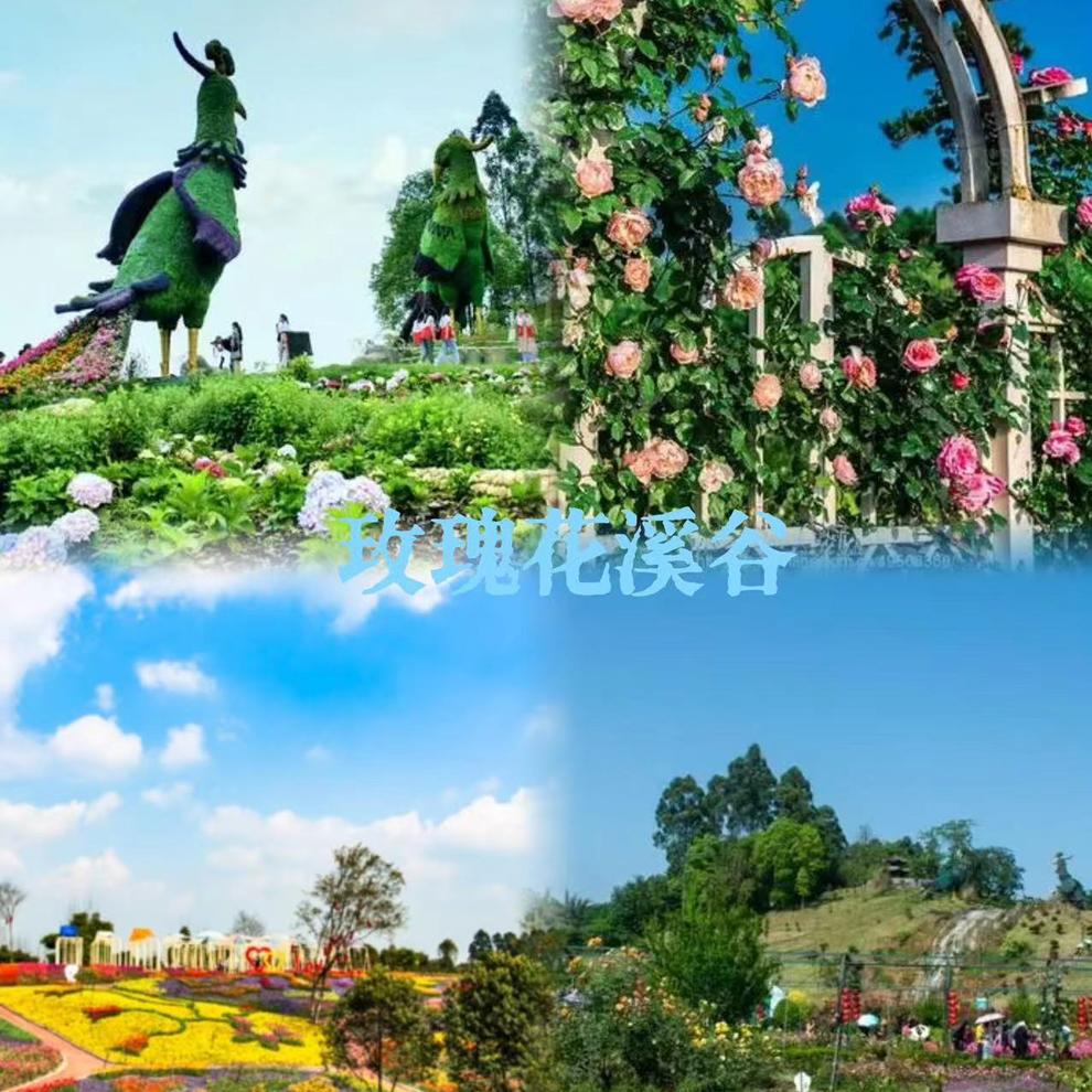 玫瑰花溪谷 玫瑰花溪谷