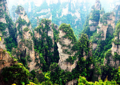 t019b9b60a37efd5cf5 t019b9b60a37efd5cf5