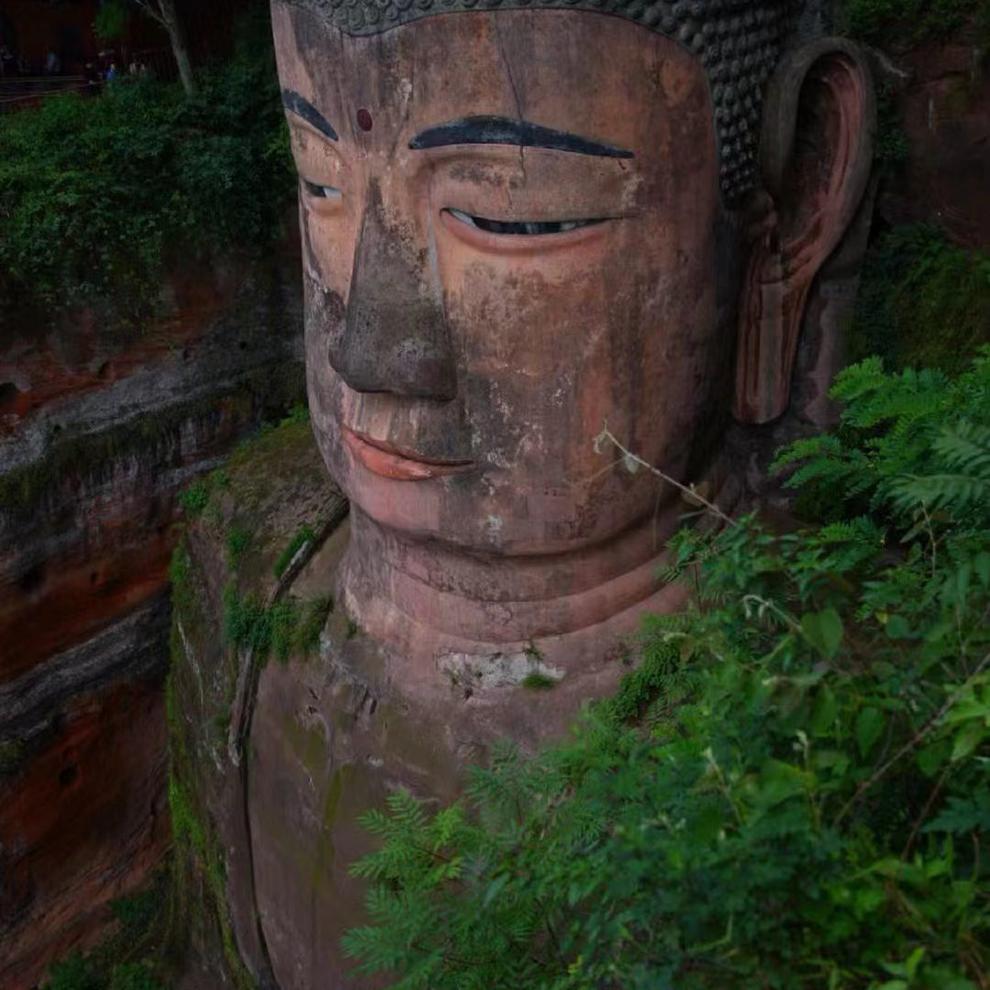 leshandafo leshandafo