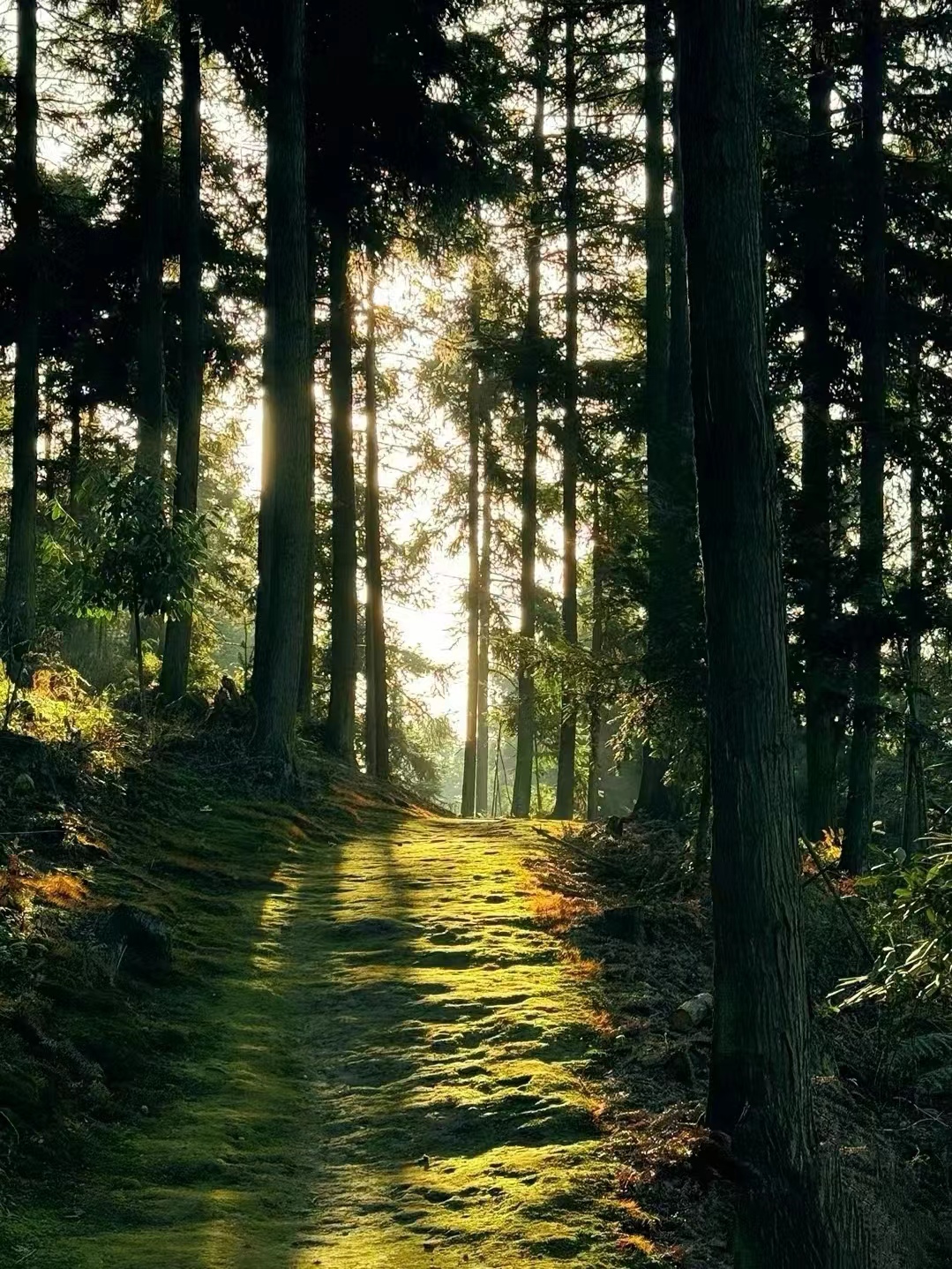 微信图片_20240702144330