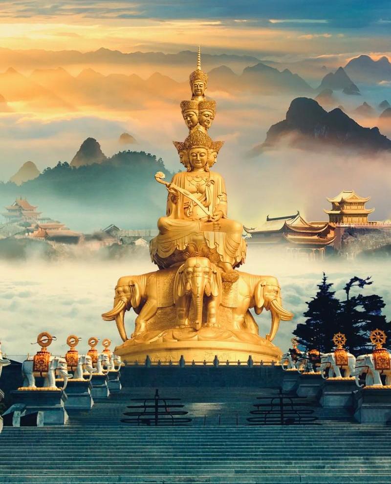 1000005098 1000005098