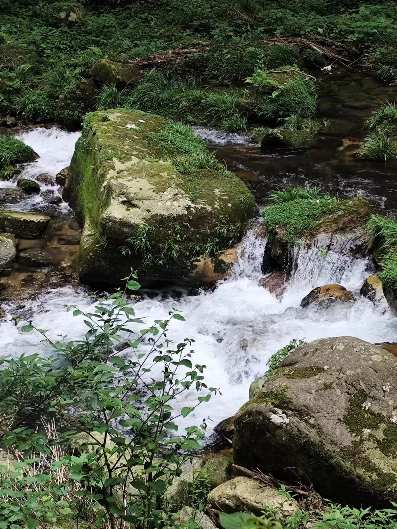 微信图片_20240702150828