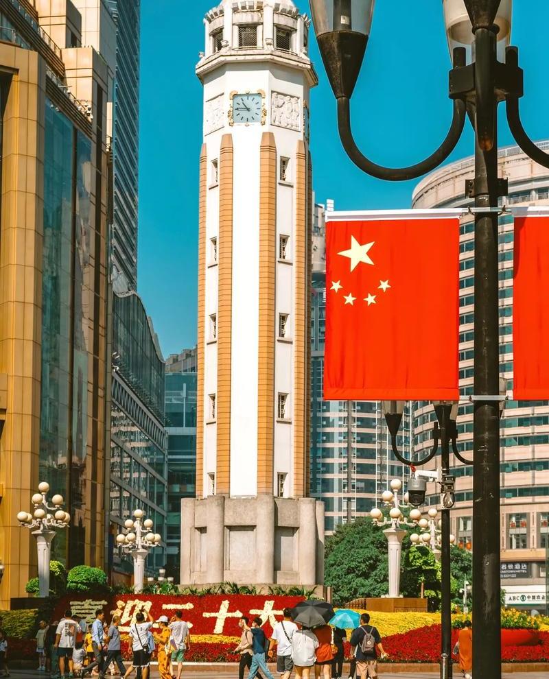 1000005105 1000005105