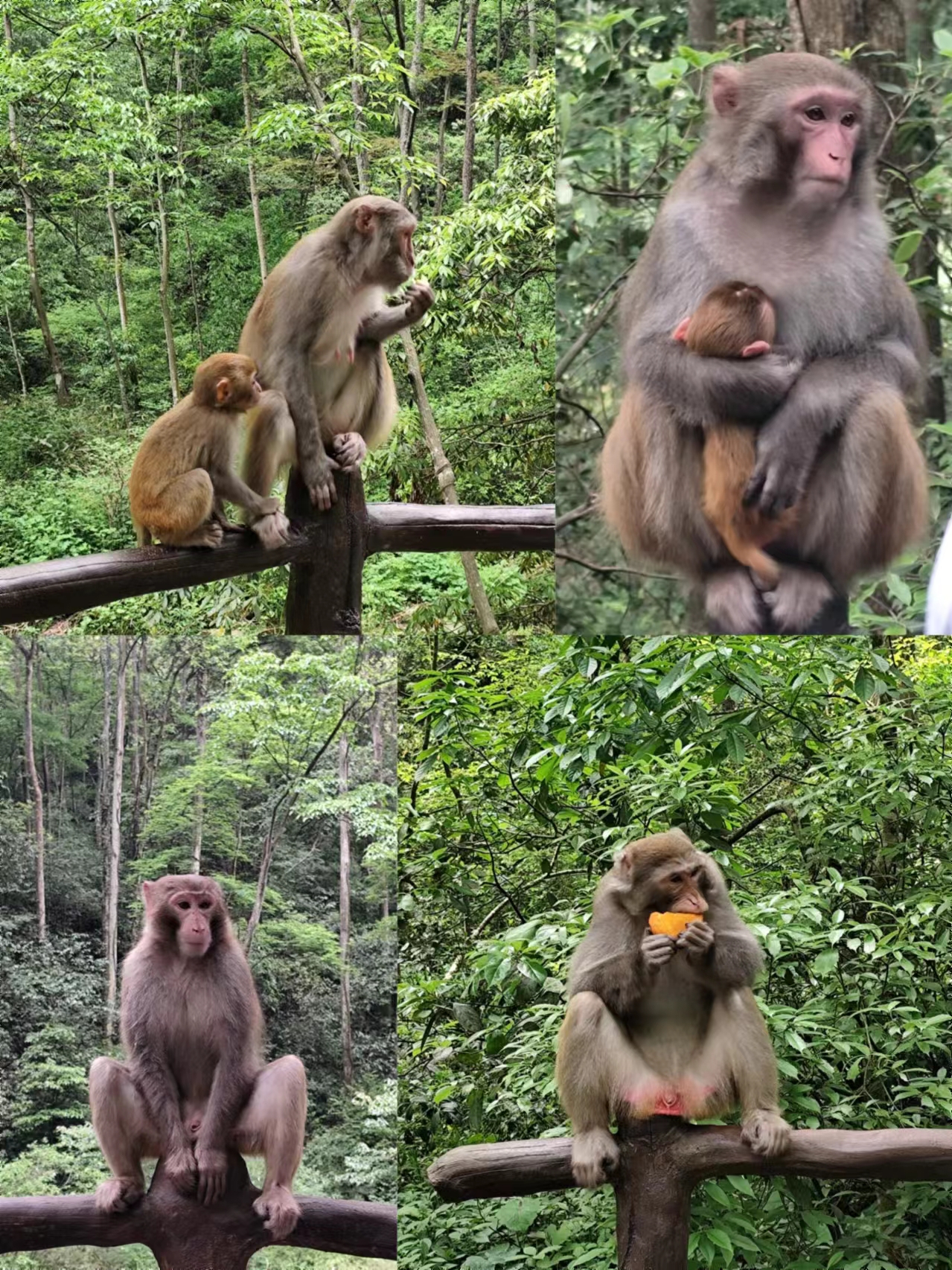 微信图片_20240702150612