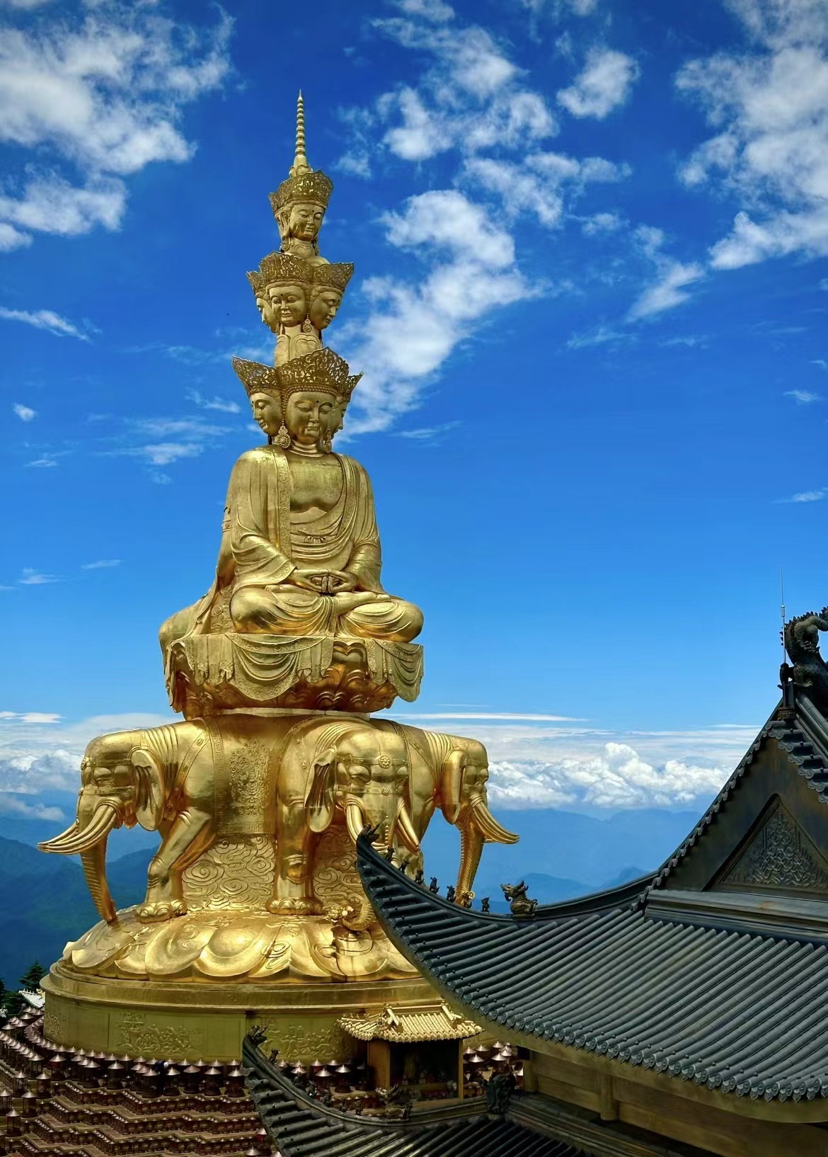 微信图片_20240702143039