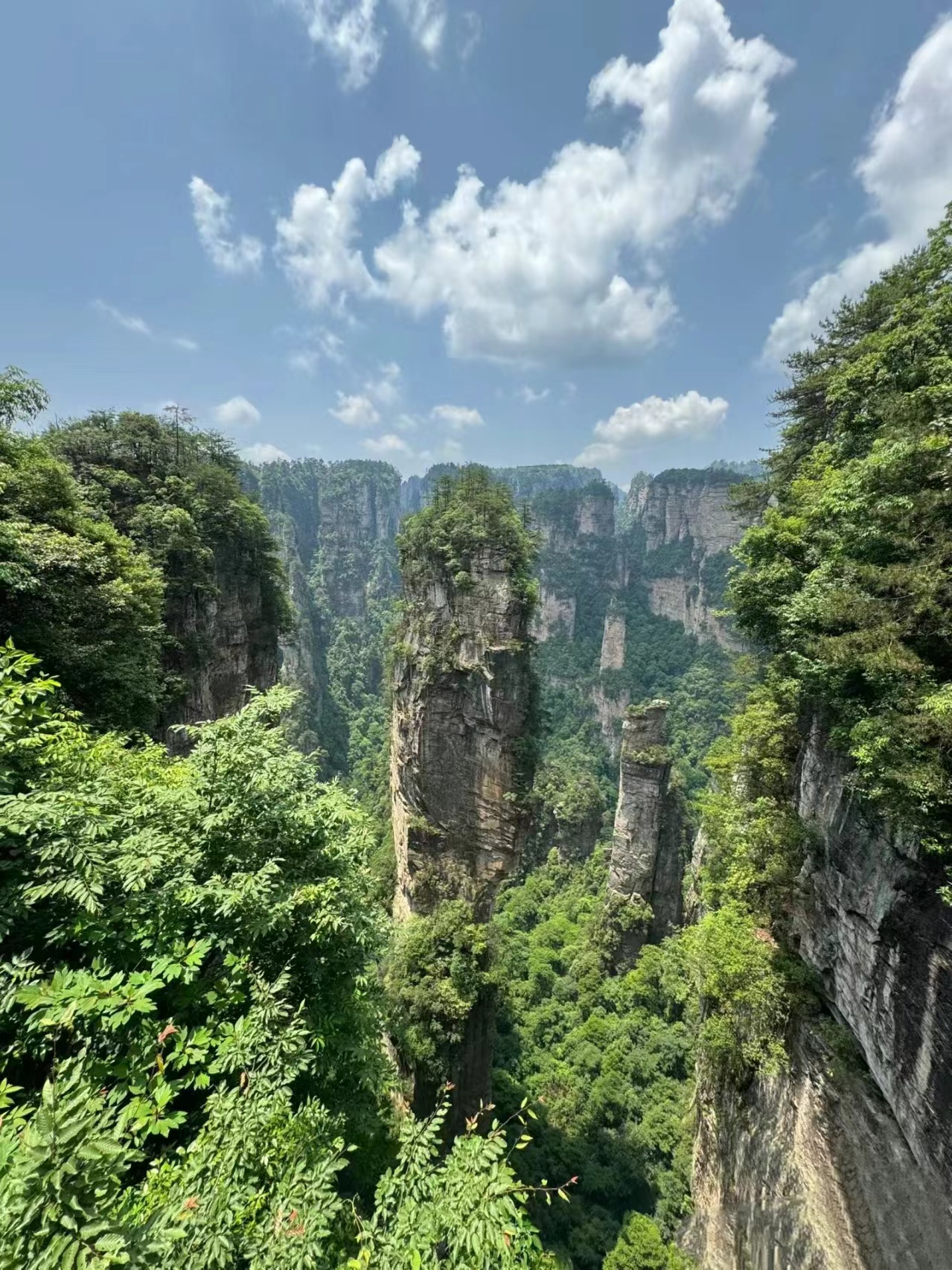 微信图片_20240702145608