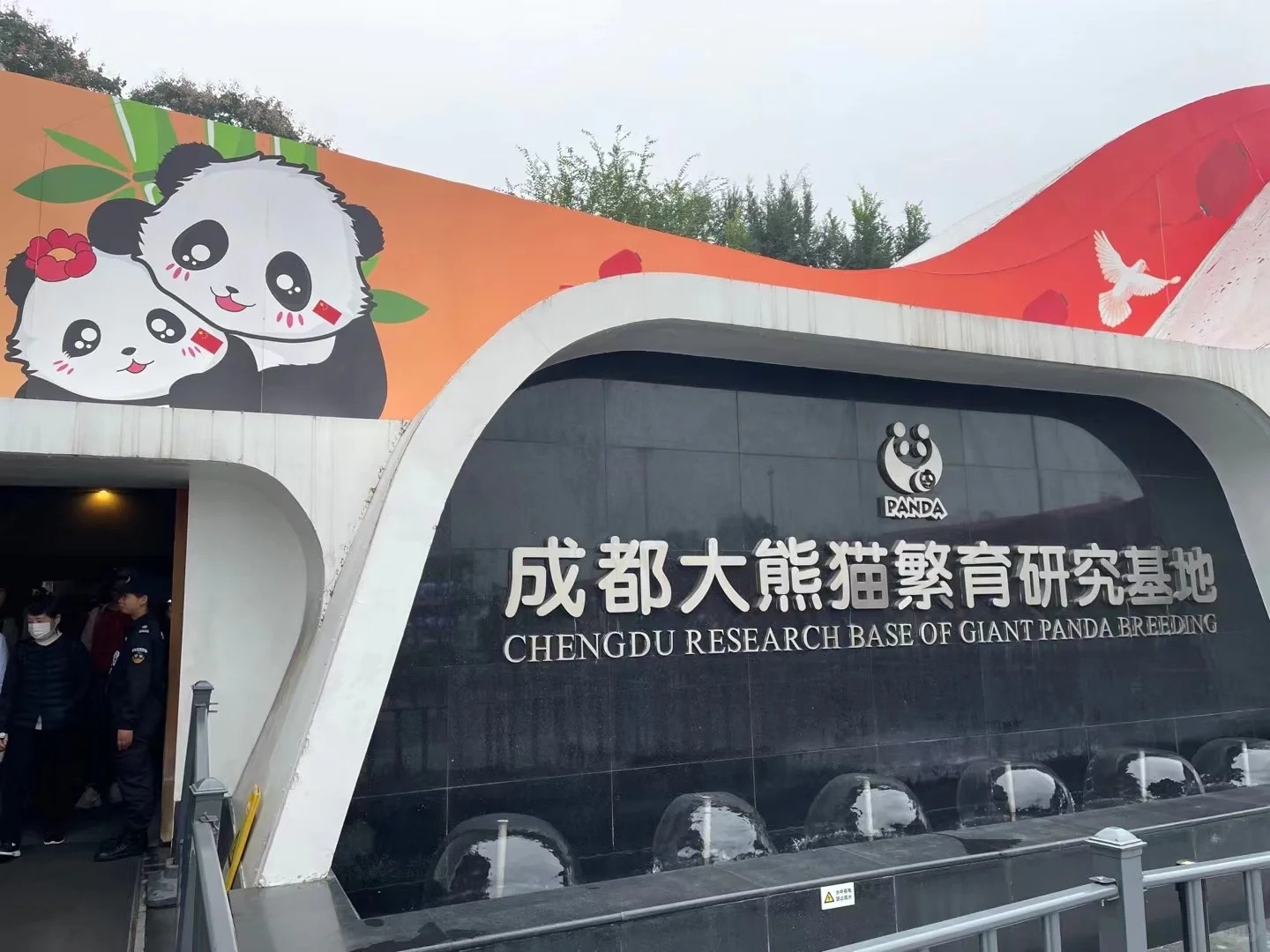 成都大熊猫繁育研究基地_1_旅行随记_来自小红书网页版