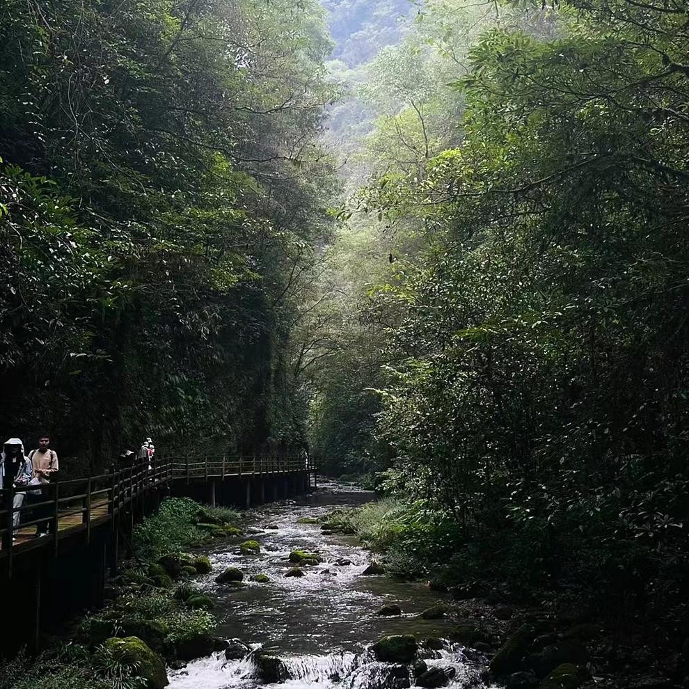 微信图片_20240704090545 微信图片_20240704090545