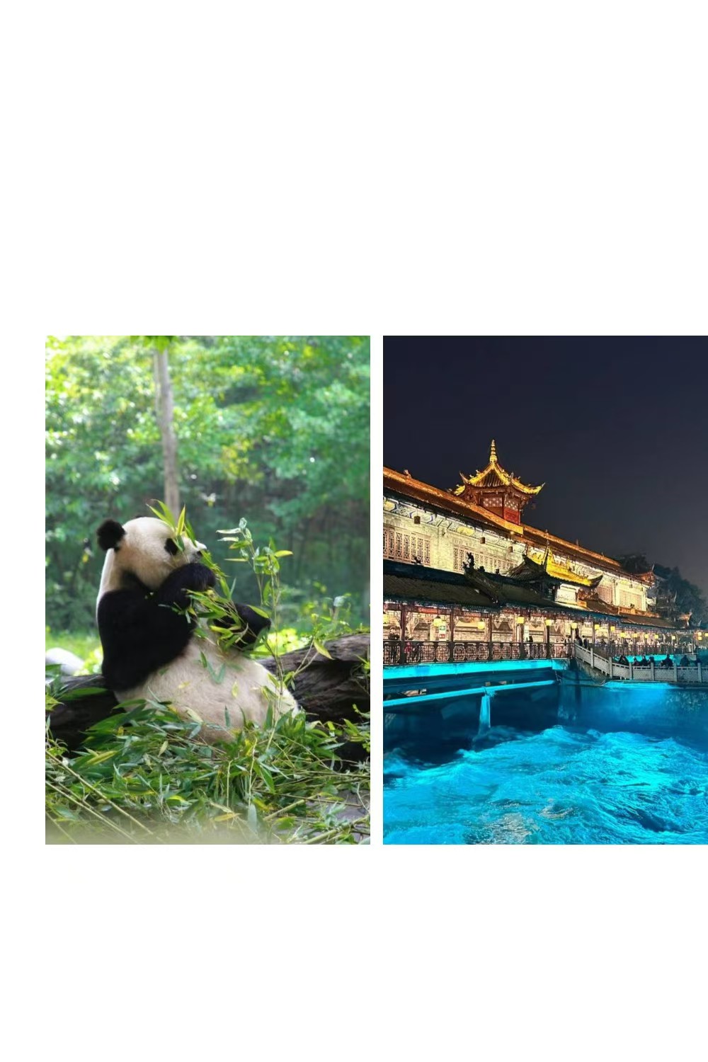 微信图片_20240704151607