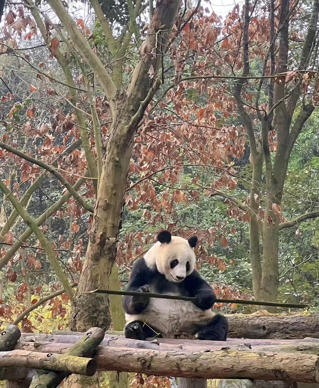 微信图片_20240704145347