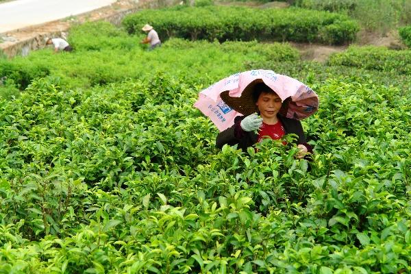 1000003131 1000003131