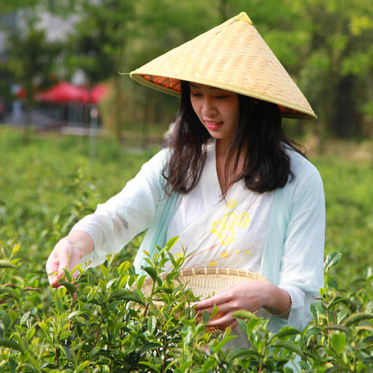 DC8E5E74E15FB548D6CE365A0F2_6B7ECB05_1B0B62 DC8E5E74E15FB548D6CE365A0F2_6B7ECB05_1B0B62