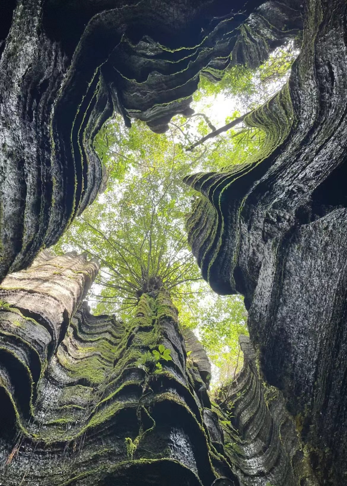 微信图片_20240708110114