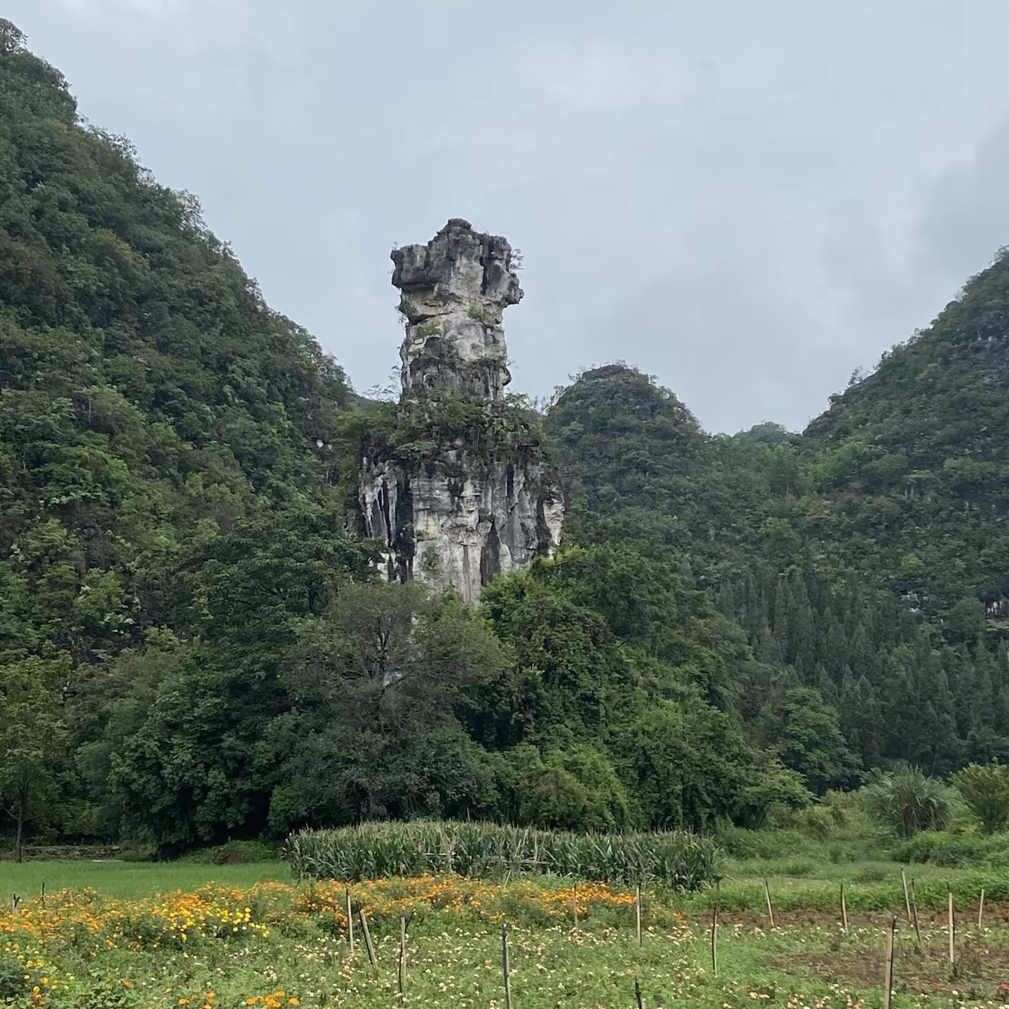 mmexport1720408532030