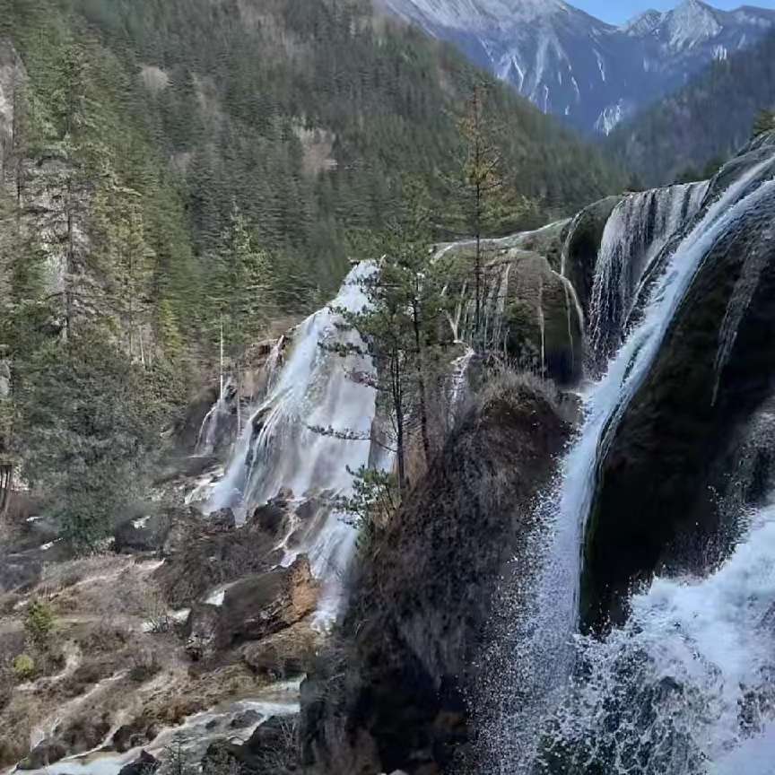 mmexport1720408503440