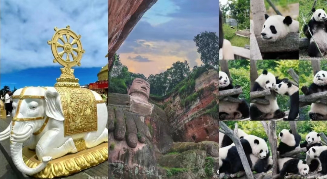 微信图片_20240709090832