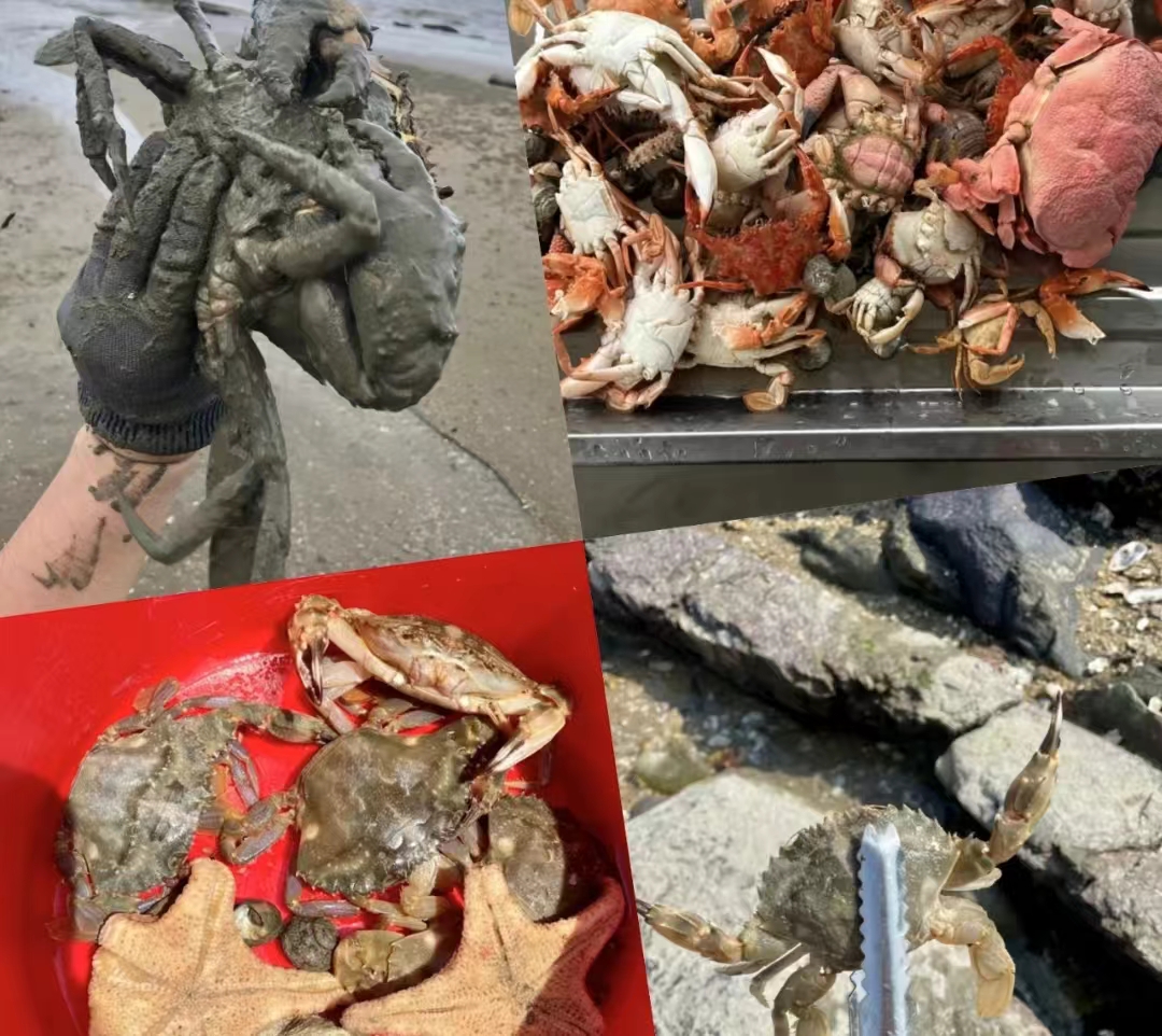 微信图片_20240709150353